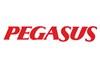 Pegasus Airlines